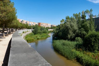 Madrid, İspanya 'da yatağında yeşil bitki örtüsü bulunan Manzanares Nehri.