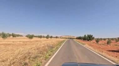 Endülüs 'te açık mavi bir gökyüzünün altında yazın kuru bir çim tarlasında zeytin ağaçlarıyla çevrili dar asfalt bir yolda araç sürüyor.