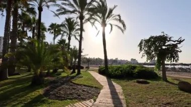 Avlu kenarında palmiye ağaçları olan ahşap bir patika boyunca yürümek, açık mavi gökyüzü altında, Benalmadena 'da, Malaga' da, Endülüs 'te, İspanya' da, Avrupa 'da, okyanus ve binaların olduğu bir sahile doğru gitmek.