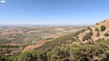 Jaen, Endülüs, İspanya 'daki büyük zeytin ağaçlarıyla dolu ovanın soldan sağa büyük panoramik manzarası