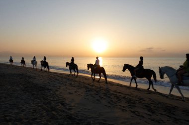 Atlılar, şafak vakti ya da alacakaranlıkta kumlu bir plajın kıyısında, Torremolinos, Malaga, Endülüs, İspanya 'da güneşin ufuk çizgisinde doğuşuyla bir hat üzerinde duruyorlar.