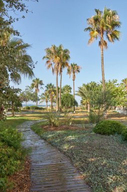 Benalmadena, Malaga, Endülüs, İspanya 'daki Torre Bermeja plajındaki palmiye ağaçları arasındaki tahta yolun dikey fotoğrafı