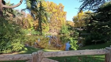 Sonbahar havuzu, kırsal bir ahşap çitin ardından görülen, altın ağaçlar ve çayırlarla çevrili sonbahar renklerini yansıtıyor. Madrid 'deki El Retiro Parkı, İspanya