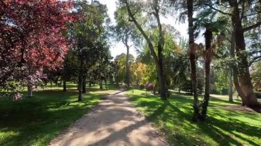 Sonbaharda sakin bir parkta, renkli ağaçlar ve yeşil çimlerle kaplı huzurlu bir patika. Madrid 'deki El Retiro Parkı, İspanya