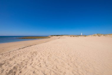 landscape of lonely and beautiful wild Varadero Beach or Cala Marisucia, in Canos Meca village (Barbate, Cadiz, Andalusia, Spain) and Cape Trafalgar with lighthouse clipart