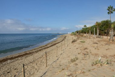 Sahile paralel uzanan uzun, kumlu bir sahil. Palmiye ağaçları Calahonda sahilinde. Mijas, Malaga, Endülüs, İspanya