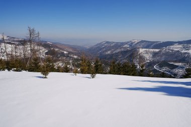 Panoramik Silezya Beskid Dağları Polonya 'da Avrupa' da Bialy Krzyz, 2022 'de açık mavi gökyüzü Mart ayında güneşli kış günü.