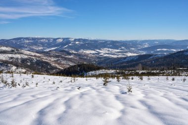 Polonya 'da Avrupa Bialy Krzyz yakınlarındaki Silezya Beskid Dağları 2022 yılının soğuk ve güneşli kış gününde açık mavi gökyüzü.