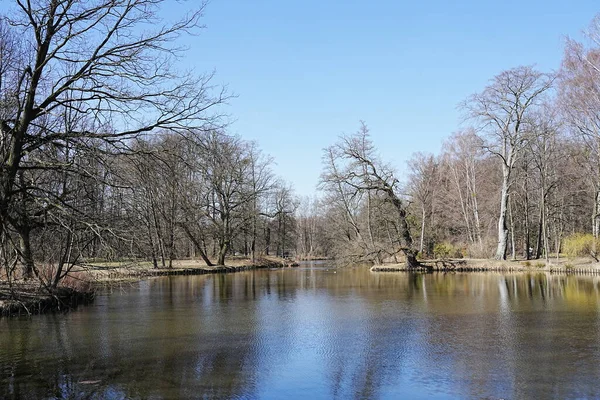 Drzewa Odbite Wodach Stawu Miasteczku Pszczyna Śląsku Polsce Czyste Błękitne — Zdjęcie stockowe