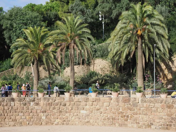 ヨーロッパの公園の中の石の壁とヤシの木スペインのカタルーニャ地方のバルセロナ市 暖かい晴れた夏の日に澄んだ青い空 — ストック写真