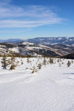 Polonya 'daki Avrupa Bialy Krzyz' deki Silesian Beskid Dağları 'ndaki karlı manzara, 2022' de açık mavi gökyüzü - dikey kış günü -
