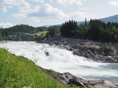 Norveç 'in Nordland bölgesindeki Avrupa Grane Köyü' ndeki Vefsna nehrinde Laksforsen şelalesi, sıcak yaz günü 2019 'da açık mavi gökyüzü..