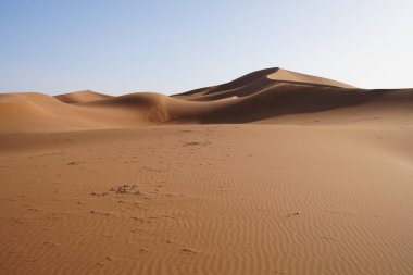 Scenic Erg Chigaga dune in Sahara desert in african southeastern MOROCCO, clear blue sky in 2023 warm sunny winter day on January.
