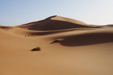 Marvelous Erg Chigaga dune at Sahara desert in african southeastern MOROCCO, clear blue sky in 2023 warm sunny winter day on January.