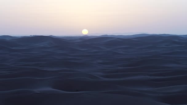 アフリカ南東部のサハラ砂漠のエルグ チガガ砂丘に沈む太陽 Morocco 1月の2023暖かい晴れた冬の日に澄んだ青い空 — ストック動画
