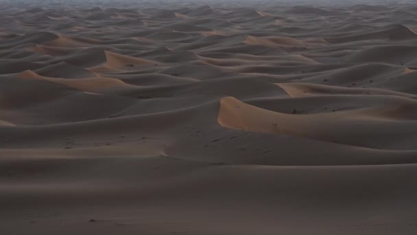 アフリカ南東部のサハラ砂漠のエルグ チガガ砂丘 Morocco 1月の2023年暖かい晴天の冬の日 — ストック動画