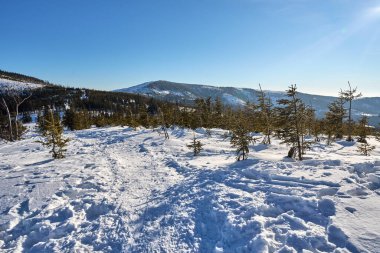 Polonya 'nın Avrupa Szczyrk kasabası yakınlarındaki Silesian Beskid' de karlı bir arazi, 2022 yılının soğuk ve güneşli kış gününde açık mavi gökyüzü.