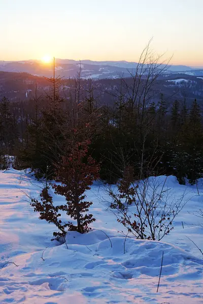 Вид Сонця Встановлений Сілезьких Бескидських Горах Знаходиться Європейському Білій Кржиці — стокове фото