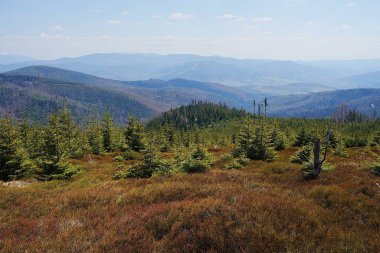 Polonya 'nın Avrupa Szczyrk kenti yakınlarındaki Silesian Beskid dağlarının manzaralı manzarası, 2023' ün güneşli bahar günü açık mavi gökyüzü.