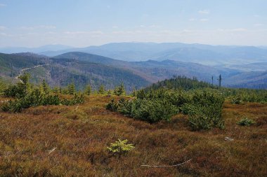 Silezya Beskid dağlarının doğası Polonya 'nın Avrupa Szczyrk kasabası yakınlarında, 2023' ün güneşli bahar gününde açık mavi gökyüzü.