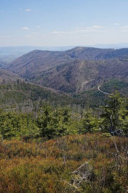 Silezya 'nın güzel Beskid dağları Polonya' nın Avrupa Szczyrk kasabası yakınlarında, 2023 yılında açık mavi gökyüzü nisan ayında - dikey olarak güneşli bahar günü -