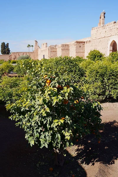 Jardim Badi Palácio Com Cegonhas Ninho Cidade Africana Marrakech Marrocos — Fotografia de Stock