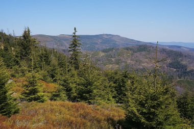 Skrzyczne Dağı, Polonya 'nın Avrupa Szczyrk kasabası yakınlarındaki Silezya Beskids bölgesinde 1,257 metre, Nisan' ın güneşli bahar günü 2023 'te açık mavi gökyüzü.