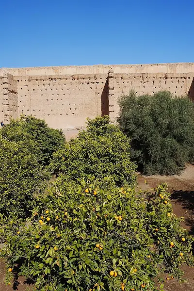 Ogród Pałacu Badi Afrykańskim Mieście Marrakech Maroku Czyste Błękitne Niebo — Zdjęcie stockowe