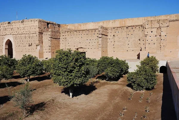 モロッコのアフリカのマラケシュにあるエルバディ宮殿のシトラス樹木 1月の2023暖かい晴れた冬の日に明確な青空 — ストック写真
