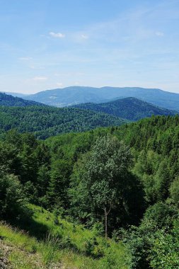 Avrupa Bielsko-Biala kenti yakınlarındaki Silesian Voyvoda Polonya 'daki Küçük Beskid manzarası, 2022' de açık mavi gökyüzü sıcak bahar günü Haziran - dikey