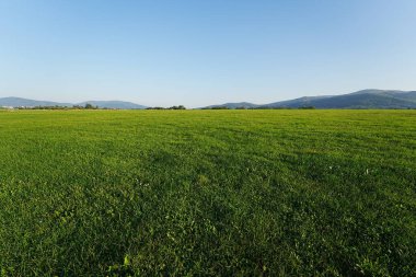 Polonya 'nın Avrupa Bielsko-Biala şehrinde hava sahası ve Silezya Beskids Panoraması, Eylül' ün sıcak ve güneşli sonbahar gününde 2023 yılında açık mavi gökyüzü.