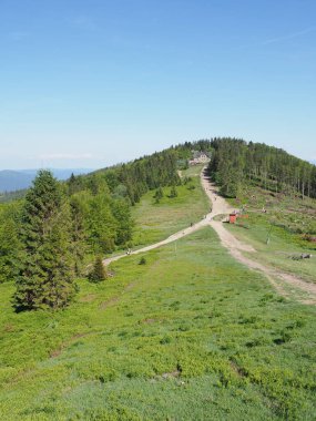 Klimczok Dağı Silezya Beskids, Avrupa Bielsko-Biala şehri, Polonya 'da 117 metre dağ, 2018 Mayıs' ta güneşli bir bahar günü açık mavi gökyüzü - dikey