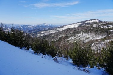 Polonya 'da Avrupa Bialy Krzyz yakınlarındaki Silesian Beskid dağlarında karlı yamaçlar