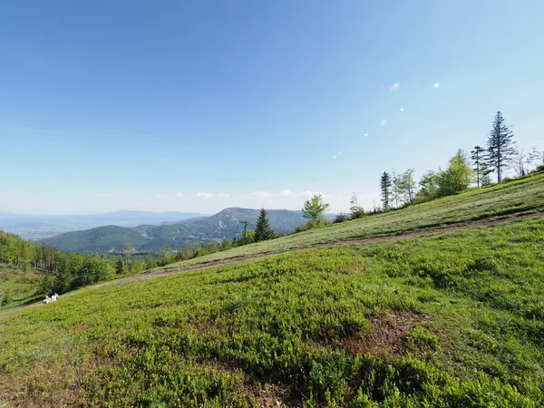 Polonya 'nın Avrupa Bielsko-Biala kenti yakınlarındaki Silesian Beskids' da Klimczok Dağı 1117 metre, Mayıs 'ın güneşli bahar günü 2018' de açık mavi gökyüzü.