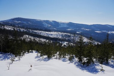 Barania Gora zirvesi, Polonya 'da Avrupa Bialy Krzyz yakınlarındaki Silezya Beskid dağlarında 1220, Şubat' ta açık mavi gökyüzü..
