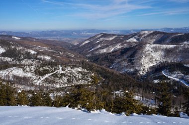 Polonya 'da Avrupa Bialy Krzyz yakınlarındaki Silezya Beskid vadisinde, 2022 yılındaki açık mavi gökyüzü soğuk ve güneşli kış günü.