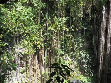 Meksika 'nın Yucatan yarımadasındaki Chichen Itza Maya kasabası yakınlarındaki PISTE' de yeşil bir mezar taşı olan Ik-Kil, sıcak kış günü 2018 Şubat 'ta.
