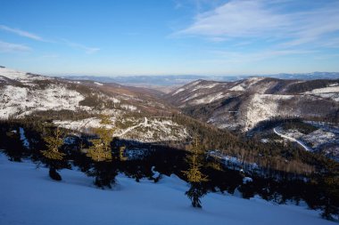 Polonya 'nın Avrupa Bialy Krzyz bölgesindeki Silesian Beskid Dağları' ndaki güzellik vadisi, 2022 yılının soğuk ve güneşli kış gününde açık mavi gökyüzü..