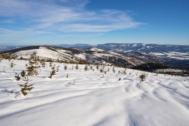 Polonya 'daki Avrupa Bialy Krzyz dağındaki Silesian Beskid dağındaki karlı çayır, 2022' de güneşli kış günü açık mavi gökyüzü.