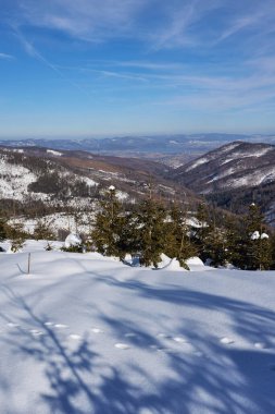 Polonya 'nın Avrupa Szczyrk yakınlarındaki Silesian Beskid Dağları' nda kış mevsiminde vadi, 2022 yılının soğuk ve güneşli kış gününde açık mavi gökyüzü - dikey