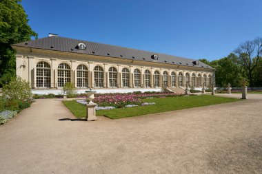 Avrupa 'nın Varşova başkenti Polonya' da hamamda eski güzel portakallar, Mayıs 'ın 2022' sinde güneşli bir bahar gününde açık mavi gökyüzü..