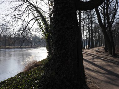 Avrupa 'nın Varşova kenti Polonya' daki hamama giden yol ve gölet 2019 yılının soğuk ve güneşli kış gününde Masovia 'da bulutlu bir gökyüzü..