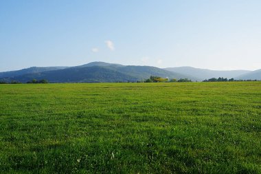 Antonov An-2 PF SP-FIY uçağı, POLAND 'daki Avrupa BIELSKO-BIALA şehrinden havalanıyor, 2023 yılının güneşli sonbahar gününde açık mavi gökyüzü.