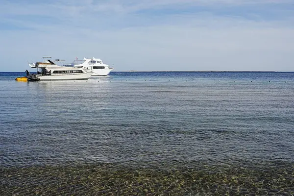 SAFAGA, EGYPT - HAZİRAN 2024: Afrika 'da Kızıl Deniz' de iki sürat teknesi, ılık güneşli kış gününde açık mavi gökyüzü.