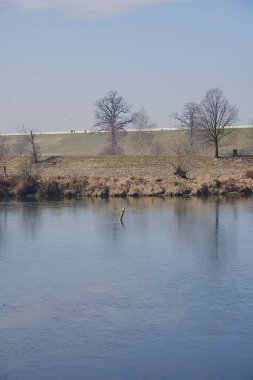Polonya 'nın Silezya bölgesinde Avrupa Goczalkowice kasabasında manzara göleti, 2022' de açık mavi gökyüzü sıcak kış günü Mart - dikey
