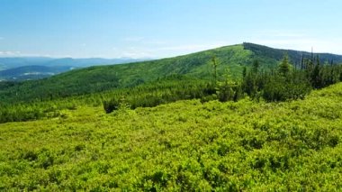 Polonya 'nın Avrupa Wisla kasabası yakınlarındaki Silesian Beskids' ta 1220 metre yükseklikteki yeşil Barania Gora zirvesi, 2024 'ün güneşli bahar gününde açık mavi gökyüzü..
