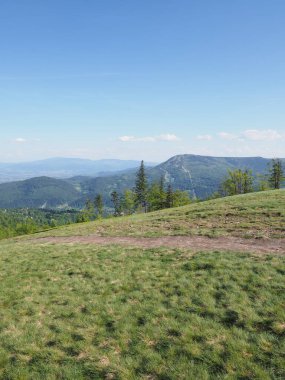 Güzel Klimczok Dağı, Silesian Beskids, Avrupa Bielsko-Biala Şehri, Polonya 'da 117 metre yükseklikte, Mayıs' ta güneşli bir bahar günü, 2018 'de açık mavi gökyüzü - dikey.