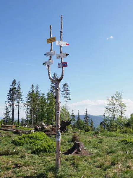 Polonya 'daki Avrupa Silezya Beskids' ta Klimczok yakınlarındaki patika yön işaretleri, Mayıs 'ta sıcak ve güneşli 2018' de açık mavi gökyüzü - dikey