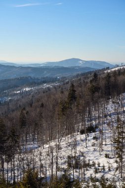 Polonya 'daki Avrupa Silezya Beskid' inde 1220 metre yükseklikteki orman ve Barania dağı, 2022 yılındaki açık mavi gökyüzü - dikey güneşli kış günü -