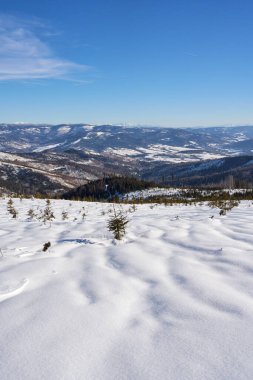 Polonya 'daki Avrupa Bialy Krzyz yakınlarındaki Silezya Beskid Dağları' nın muhteşem vadisi 2022 yılının soğuk ve güneşli kış gününde açık mavi gökyüzü - dikey
